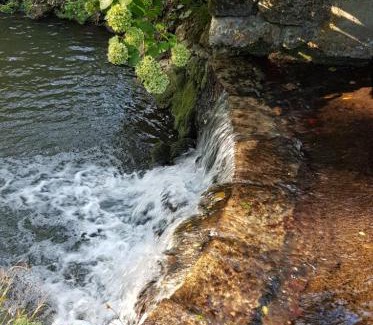 Saint-Etienne-de-Chigny Bed & Breakfast | Le Moulin Hodoux