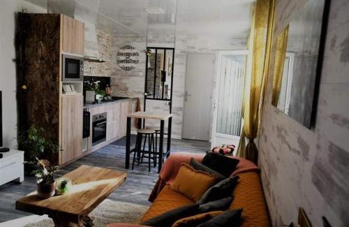 Faubourg Sud House | Le Néflier Dijon - appart balnéo - SPA romantique pour 2