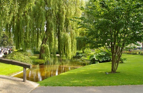 Saint-Christophe de la Foret Apartment | Le Nid de Verdure - HAVRE (LE)