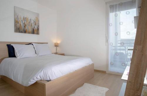 Annecy Apartment | Le Nid des Romains - T2 neuf - Balcon - vue
