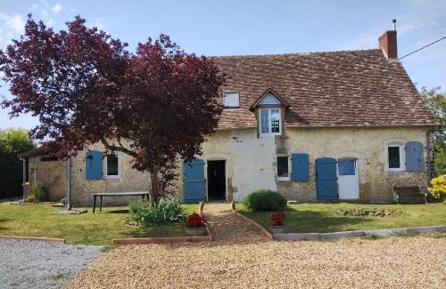 Marigne-Laille House | Le paradis des chats bercéen chez Stéphanie près circuit du Mans, animaux acceptés