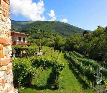 Valdobbiadene House | Le Perine 6