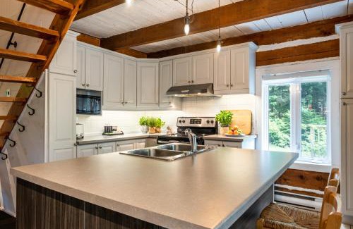 Saint-Faustin-Lac-Carre Ski Chalet | Le Petit Chalet by My Tremblant Location