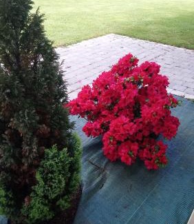 La Trinite-Surzur Bed & Breakfast | Le Petit Etang