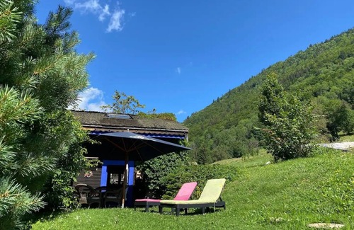 Montriond Ski Chalet | Le Petit Nid D'amour