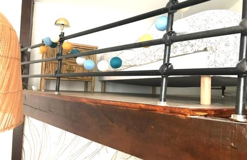 Vieux Vichy Apartment | LE PETIT PRESBYTERE - HyperCentre - Rez de Chaussée - Thermes