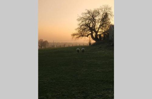 Montpinchon House | Le Portail Du Mont