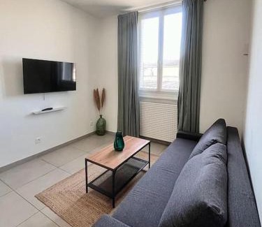 Viviani - Bonnevay Apartment | Le pressensé 2