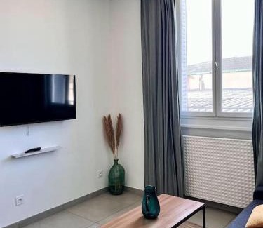 Viviani - Bonnevay Apartment | Le pressensé 2