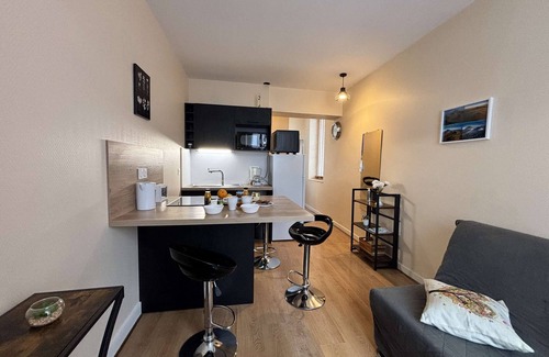 Chatel-Guyon Apartment | Le Puy de Dôme "202" ★1 bedroom ★Wifi