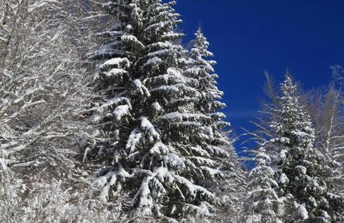 Saint-Laurent-en-Grandvaux Ski Chalet | le refuge des Marmottes