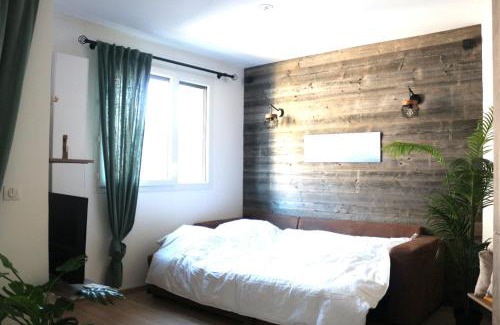 Annecy Apartment | Le Refuge Tropical Taine