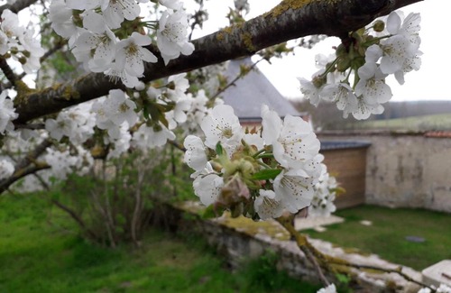 Revillon Bed & Breakfast | LE RELAIS