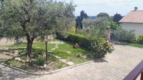 Corinaldo Apartment | Le Rondini