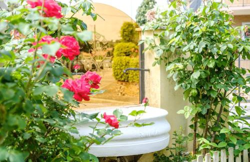 Misano Adriatico Bed & Breakfast | Le Rose - Suites e Breakfast a 5 min dal mare e Misano World Circuit