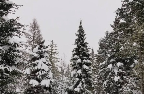Shannon Ski Chalet | Le Sherwood #12