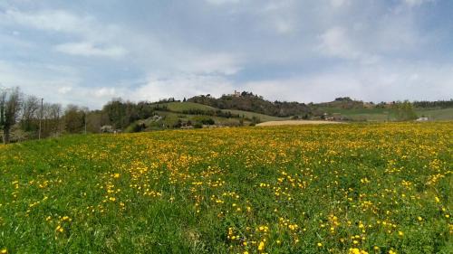 Monteleone House | Le Spighe Agriturismo