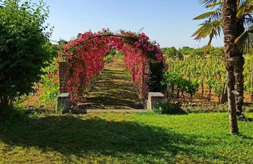 Mascalucia Bed & Breakfast | Le stanze dei Mori - quadrupla con bagno privato