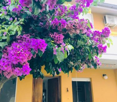 Termoli Bed & Breakfast | Le stanze di Botticelli