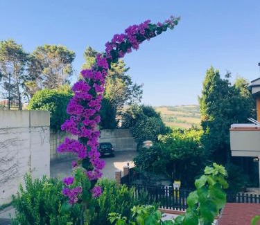 Termoli Bed & Breakfast | Le stanze di Botticelli