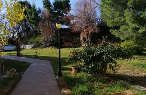 Palombina Nuova Bed & Breakfast | le tamerici B&B