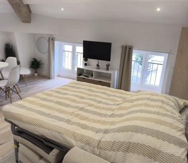 Tournon-sur-Rhone Apartment | Le toit du Rhône, Studio