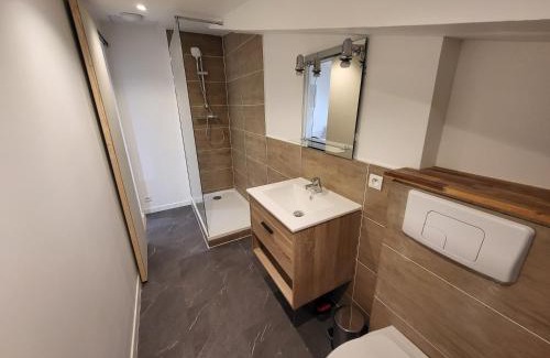 Tournon-sur-Rhone Apartment | Le toit du Rhône, Studio