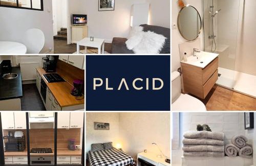 Tours Apartment | Le Turenne, T2 cozy et calme, wifi, tv, stationnement aisé