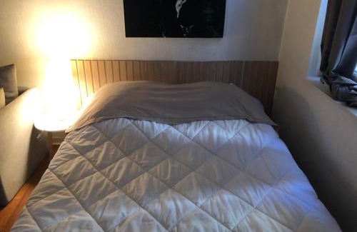 Aurillac Apartment | Le Victor Hugo 2 D et sa pizza offerte