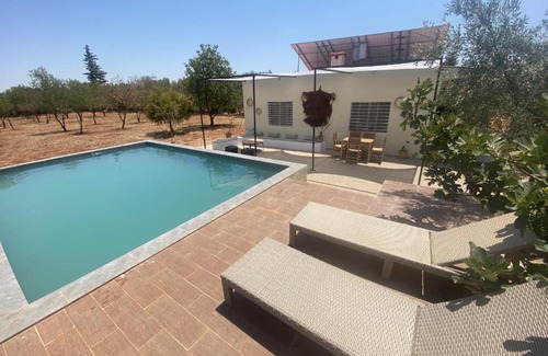 Ain Chkef House | Le village des oliviers