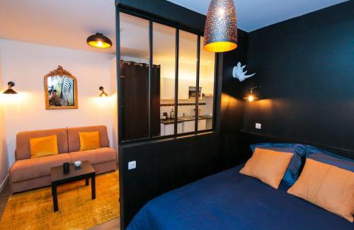 Saint-Roch - Badouillere - Chavanelle Apartment | Le Zèbre, T1 hypercentre chic et cosy, Wifi par SOVALFI