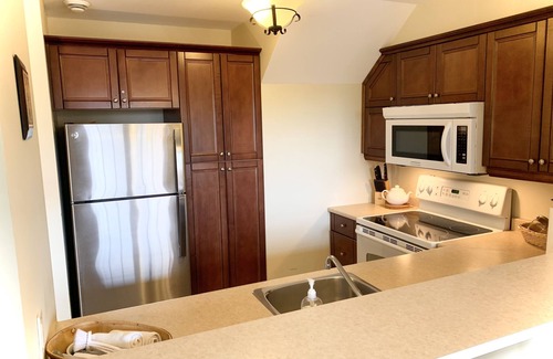 Saint-Faustin-Lac-Carre Condo | Le Zénitude Mont-Blanc