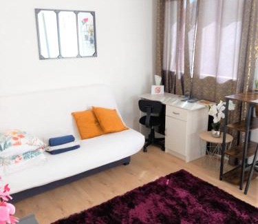 Tarbes Apartment | Le Zen -studio tout équipé- WIFI Fibre- centre ville avec parking