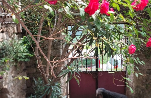 Saint-Andre-de-Majencoules House | Le1739- a piece of history in the Cévennes