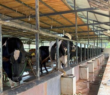 Palakkad House | Lead Farm Stay