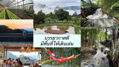 Chiang Rai Province House | LEEHU Coffee Farm