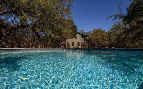 Driftwood House | Left Fork
