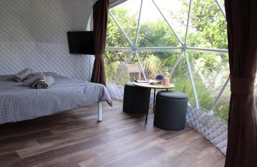 Troizinia Other | Lemon Tree Dome House