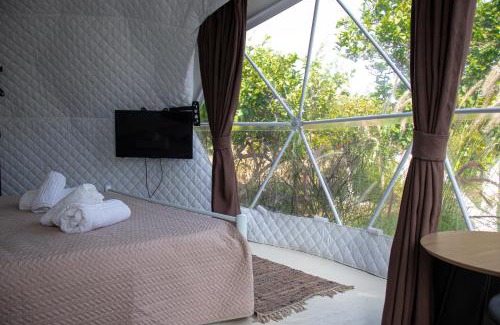 Troizinia Other | Lemon Tree Dome House