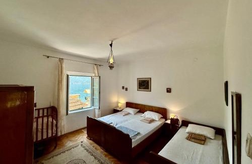 Orahovac House | Lemon tree villa