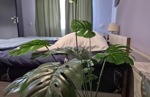 Gergeti Apartment | Lemona