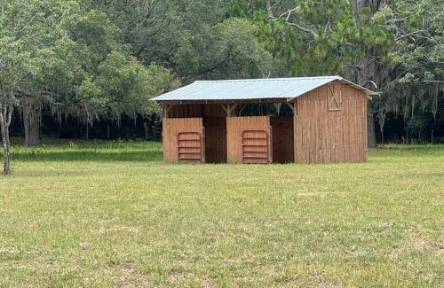 Ocala House | Lemonade Acres, Where Horses Stay for Free!