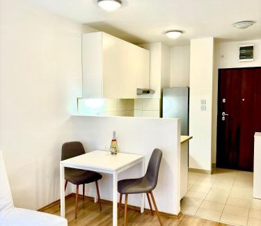 Ferencvaros Apartment | Leo residence