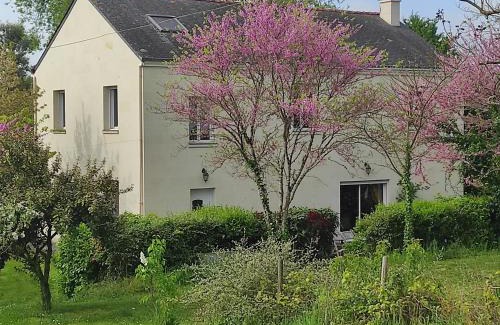 Saumur Bed & Breakfast | Les 2 Chênes