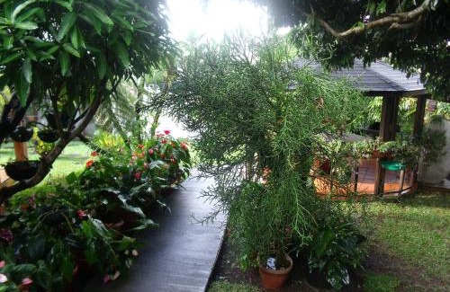 Centre Ville House | Les Agapanthes