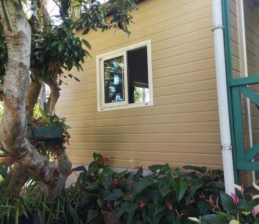 Centre Ville House | Les Agapanthes