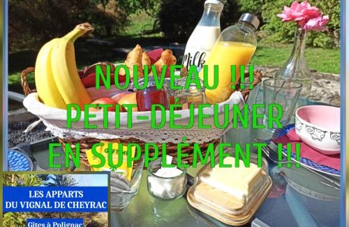 Polignac Apartment | Les Apparts du Vignal de Cheyrac