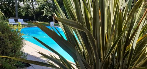 Hontanx Bed & Breakfast | Les Barrerres