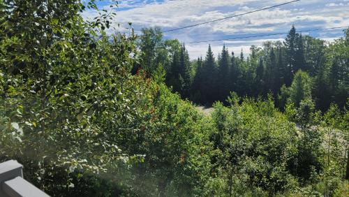 Petite-Riviere-Saint-Francois Ski Chalet | Les havres du Massif AUB 148