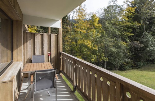 Demi-Quartier Apartment | Les Chalets Autrichiens